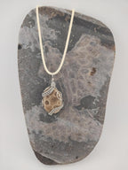 Petoskey Stone Wire Wrap Pendant - Unique Charm - Michigan Artistry