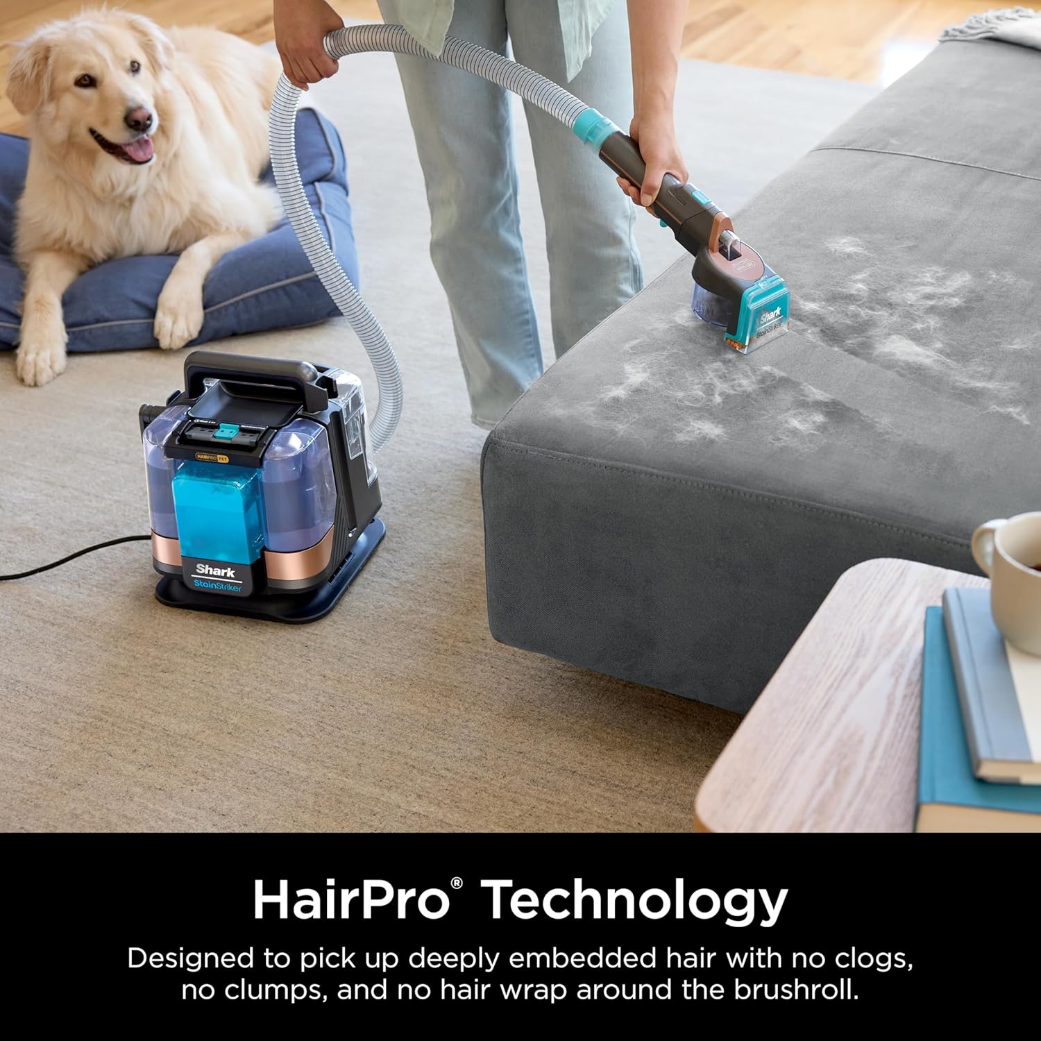 Shark StainStriker HairPro Portable Carpet, Upholstery & Area Rug Cleaner with Pet Mess & Hair Tools, Self-Cleaning, Perfect for Pets & Car Interiors, 4 Cleaning Tools & Pet Solution, Copper, PX251