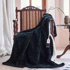 Verwarmd deken elektrisch deken plaid 50''X60'' - verwarmingsdeken met 6 warmtestanden - 2-10 uur automatische uitschakeling, ETL gecertificeerd, wasmachinebestendig (zwart)