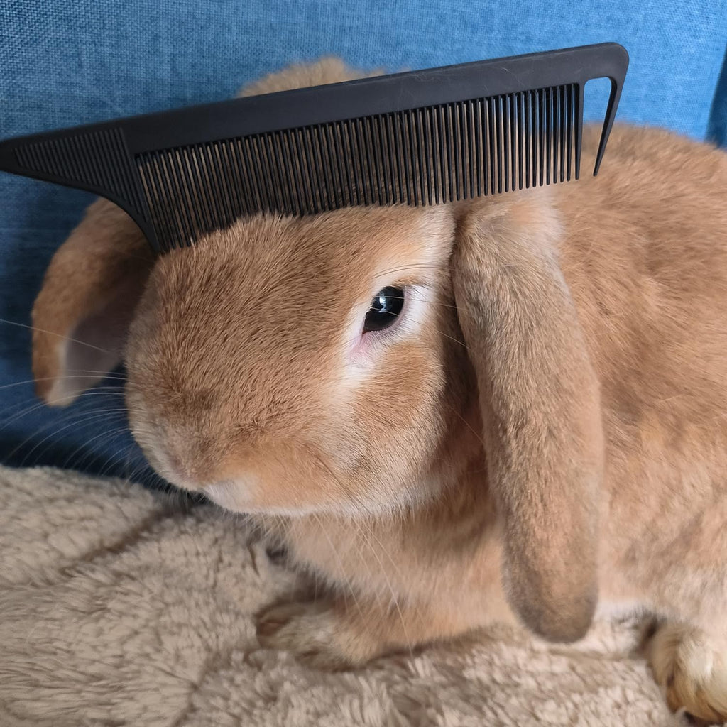 Metal Carbon Parting Combs for Women, Girls - 20 PCS for Curly, Braiding, Styling Hair (Black)