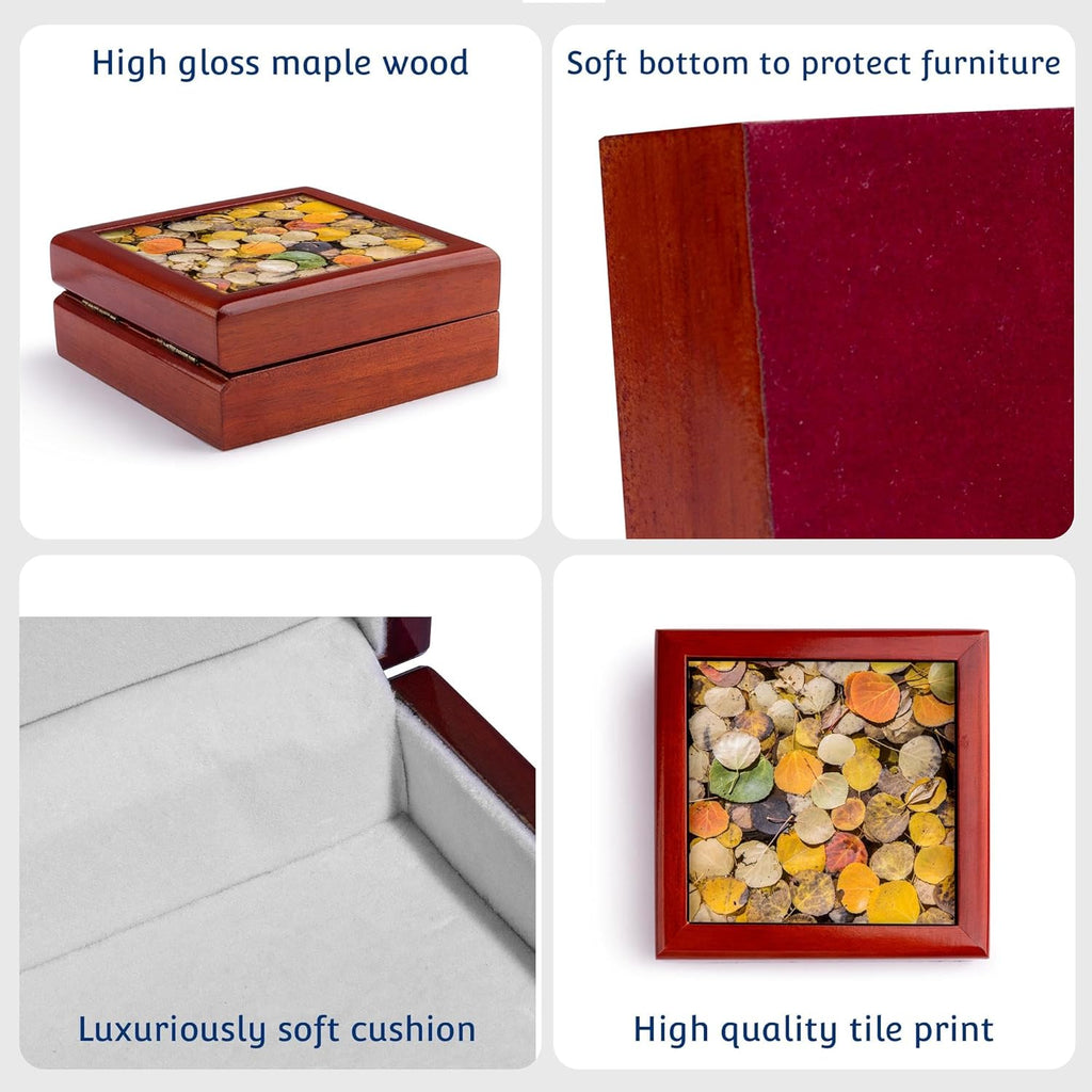 3dRose USA, Wyoming, Autumn aspen leaves floating on pond, Jewelry Box jb-231934-1