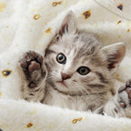 Tortilla-tæppe, baby burritos svøb tæppe, taco tæppe til nyfødt toddler, 285 GSM blødt flannel bærbart tæppe sjove gaver til babyshower dreng pige 0-3 6 9 måneder