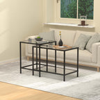 Nesting Coffee Table,Small Glass Coffee Table Set of 2,Black Modern Square Sofa Side Tea Table for Living Room,Bedroom and Small Spaces,2 Tier Tempered Glass with Sturdy Metal Frame, Easy Assembly