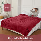 Heated Blanket Electric Blanket Full Size, Super Soft Cozy Upgraded Flannel Heating Blanket with 6 Heating Levels & 1-10 Hours Auto Off, Fast Heating & Overheat Protection, 72" x 84", Dark Gray