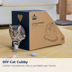 BISSELL Little Green Pet Deluxe Portable Carpet Cleaner and Car/Auto Detailer, 3353, Gray/Blue