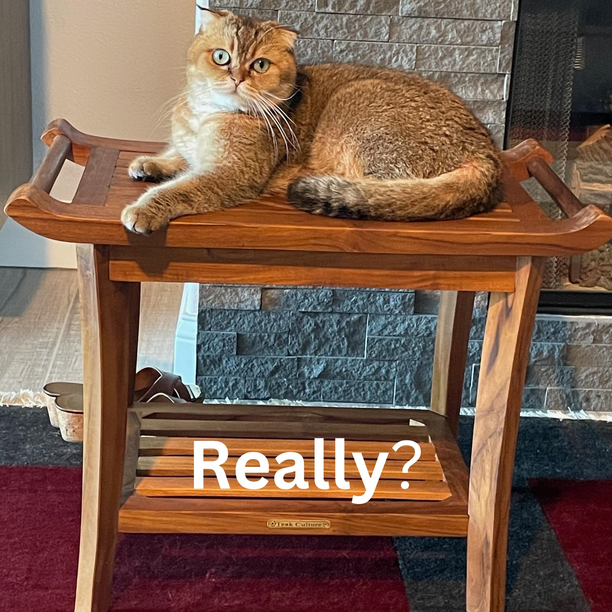 Luxury Teak Shower Bench Stool Seat Chair with Leveling Feet, Waterproof, Teak Oil Finish, Large, 25x19x14, for Bathroom, Spa, Sauna, Pool Deck, Patio, Garden, RV, from Our Diamond Collection