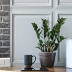 AMAZING WALL Ev Soyulabilir ve Yapıştırılabilir 3D Görünümlü Wainscot Tahta Panel Duvar Kağıdı Kendinden Yapışkanlı Yatak Odası