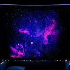 Amazon Fluorescent Tapestry Uv Blue Light Skull Flower Eyes