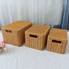 Rattan Storage Basket Finishing With Lid