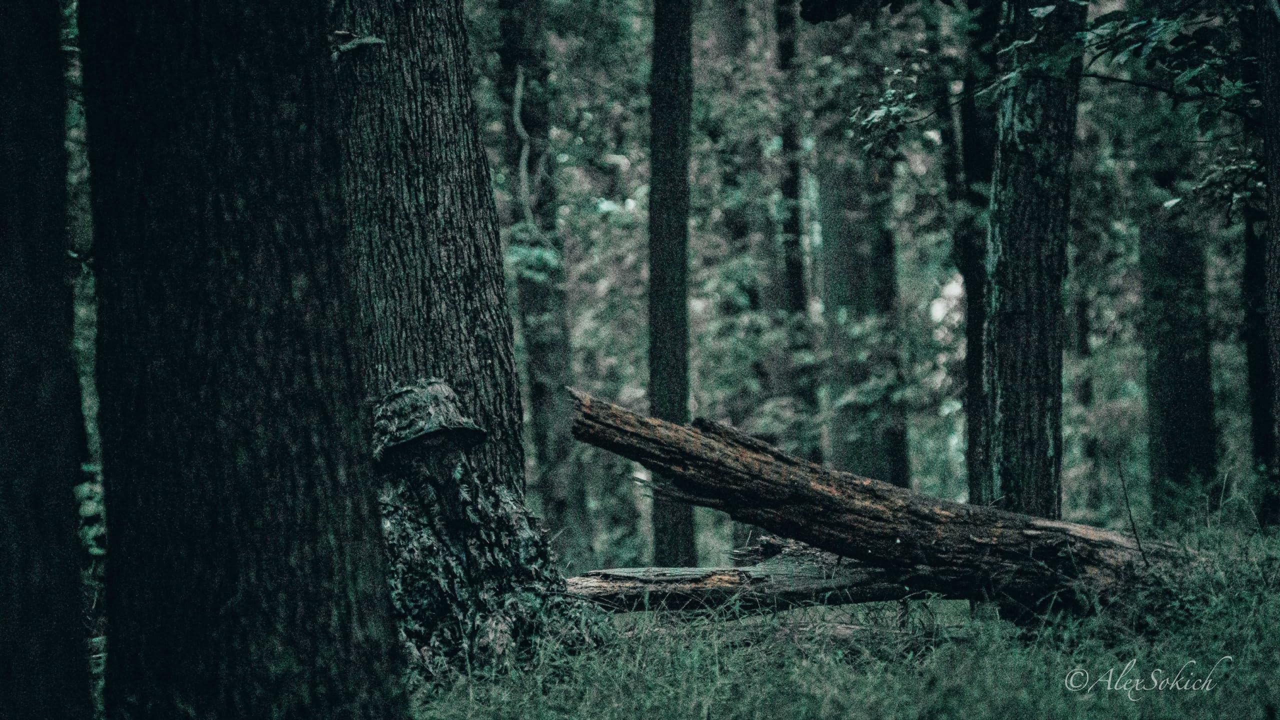 QuikCamo Mossy Oak Greenleaf Camo spandhat med indbygget 3D bladformet ansigtsmaske, jagtudstyr til kalkun (justerbar OSFM)