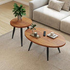 Coffee Table Set of 2, Accent Nesting Side Table, Sofa End Table for Farmhouse and Living Room (Brown)