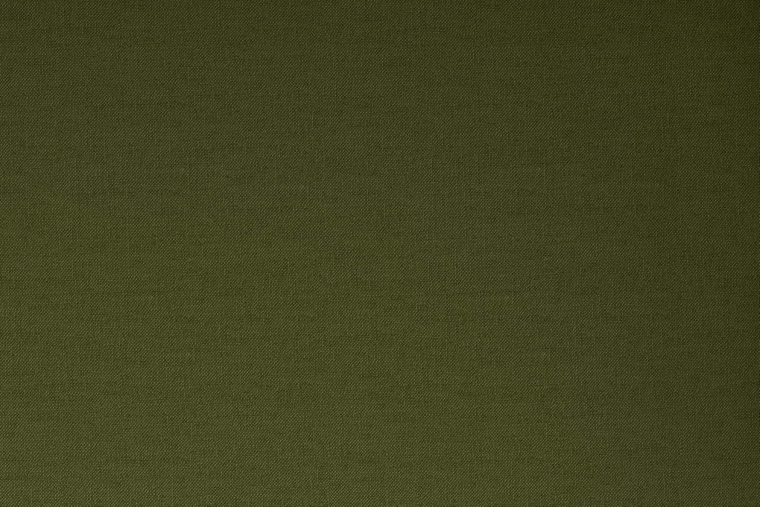 Novogratz Brittany 82 Inch Futon Sofa Bed in Faux Leather, Upholstered Couch Sleeper with Tufted Back, Mid-Century Modern Design, Green