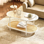 VINGLI 25.6" Round Gold Coffee Tables for Living Room, 2-Tier Glass Top Coffee Table with Storage Clear Coffee, Simple & Modern Center Table for Small Space