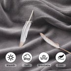 Coperta Elettrica Riscaldata 72"x84" Taglia Completa, Morbido Pile di Corallo con 4 Livelli di Riscaldamento e Spegnimento Automatico dopo 10 Ore, Lavabile in Lavatrice, Tessuto Morbido e Accogliente per la Casa, Grigio Scuro