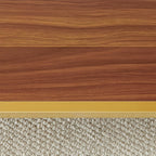 Modern Rectangle Glass Coffee Table with Amber Glass Top, Rectangle Glass Table for Living Room, L41''×W19''×H18'', Gold Table Legs Structure & Amber Glass Top