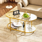 VINGLI 25.6" Round Gold Coffee Tables for Living Room, 2-Tier Glass Top Coffee Table with Storage Clear Coffee, Simple & Modern Center Table for Small Space