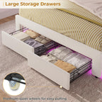 ADORNEVE Twin Bed Frame with RGB LED Lights, Princess Bed Frame with Adjustable Crystal Button Headboard, Velet Upholstered Platform Bed for Girls, Solid Wooden Slats, Easy Assembly, Creamy White - Grand Goldman