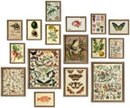 ANERZA 16 PCS Framed Eclectic Wall Art Decor, Modern Maximalist Wall Prints for Bedroom, Gallery Wall Frame Set, Posters for Living Room Aesthetic, Wall Collage Kit Pictures, Colorful Dorm Home Decor - Grand Goldman