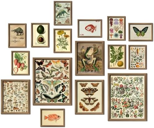 ANERZA 16 PCS Framed Eclectic Wall Art Decor, Modern Maximalist Wall Prints for Bedroom, Gallery Wall Frame Set, Posters for Living Room Aesthetic, Wall Collage Kit Pictures, Colorful Dorm Home Decor - Grand Goldman
