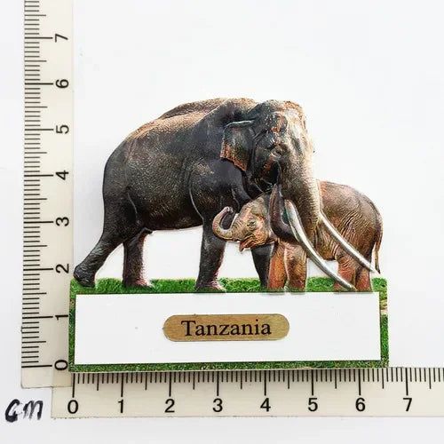 Africa Tanzania big five animal tourism memorial crafts lion rhino hippopotamus giraffe leopard magnetic refrigerator sticker - Grand Goldman