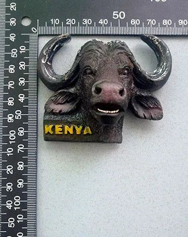 African Kenya 3d Resin Fridge Magnets Tourism Souvenir Rhinoceros Elephant Lion Giraffe Leopard Cape Buffalo Magnet Decorative - Grand Goldman