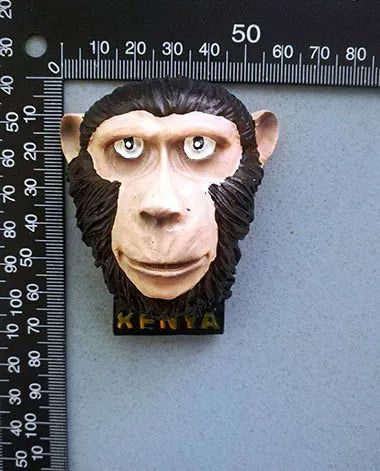 African Kenya 3d Resin Fridge Magnets Tourism Souvenir Rhinoceros Elephant Lion Giraffe Leopard Cape Buffalo Magnet Decorative - Grand Goldman