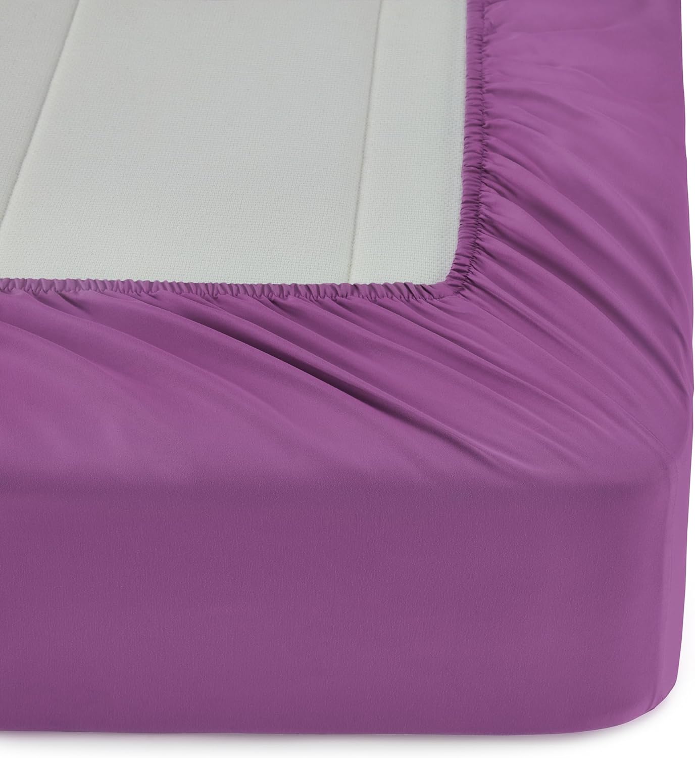 Amazon Basics Kid's Easy Care Microfiber Bed-in-a-Bag 5-Piece Bedding Set, Twin, Butterfly Friends - Grand Goldman