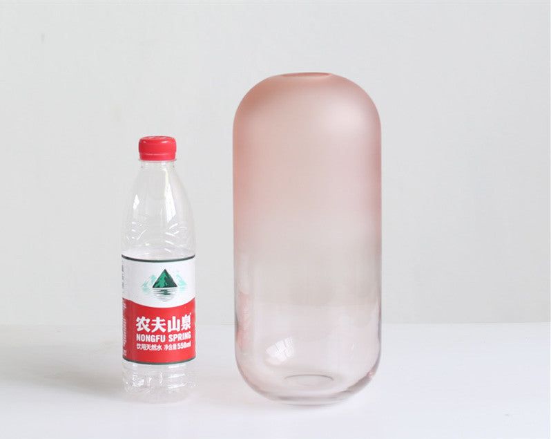 American creative Nordic minimalist glass vase frosted flower arrangement water dried flower flower living room dining table decoration - Grand Goldman