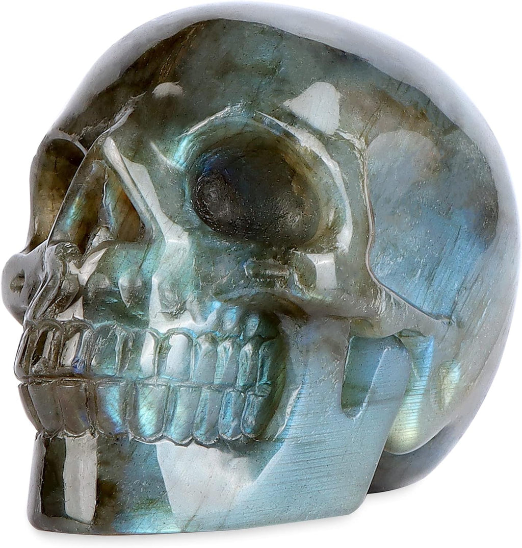 Artistone 2" Crystal Human Skull Head Decor Statue Carved Gemstone Purple Lepidolite Skeleton Head Art Figurines Reiki Healing Stone for Halloween Christmas Ornaments Home Office Decoration - Grand Goldman