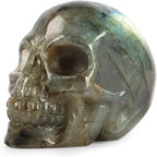 Artistone 2" Crystal Human Skull Head Decor Statue Carved Gemstone Purple Lepidolite Skeleton Head Art Figurines Reiki Healing Stone for Halloween Christmas Ornaments Home Office Decoration - Grand Goldman