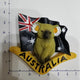 Australien koala