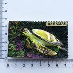 Bahamas Fridge Magnets Tourist Souvenirs Magnets for Refrigerators Creative Folk Dance magnetic sticker Home  Kitchen Decoration - Grand Goldman
