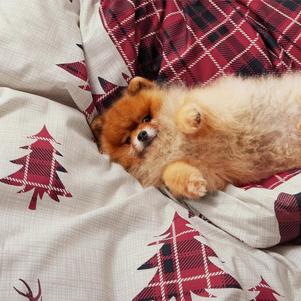 Bedsure Christmas Duvet Cover Queen - Green Forest Christmas Bedding Set, 5-Piece Includes 1 Duvet Cover, 2 Pillow Shams, 1 Throw Blanket and 1 Decorative Pillow (Queen, Green Forest) - Grand Goldman