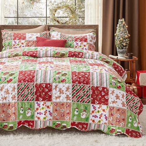 Bedsure Floral Quilt Set Queen - Reversible Blue & White Quilt Bedding Set, Daisy Design Bedspread, 3 Pieces Microfiber Lightweight Coverlet with 2 Pillow Shams for All Seasons (90"x96") - Grand Goldman