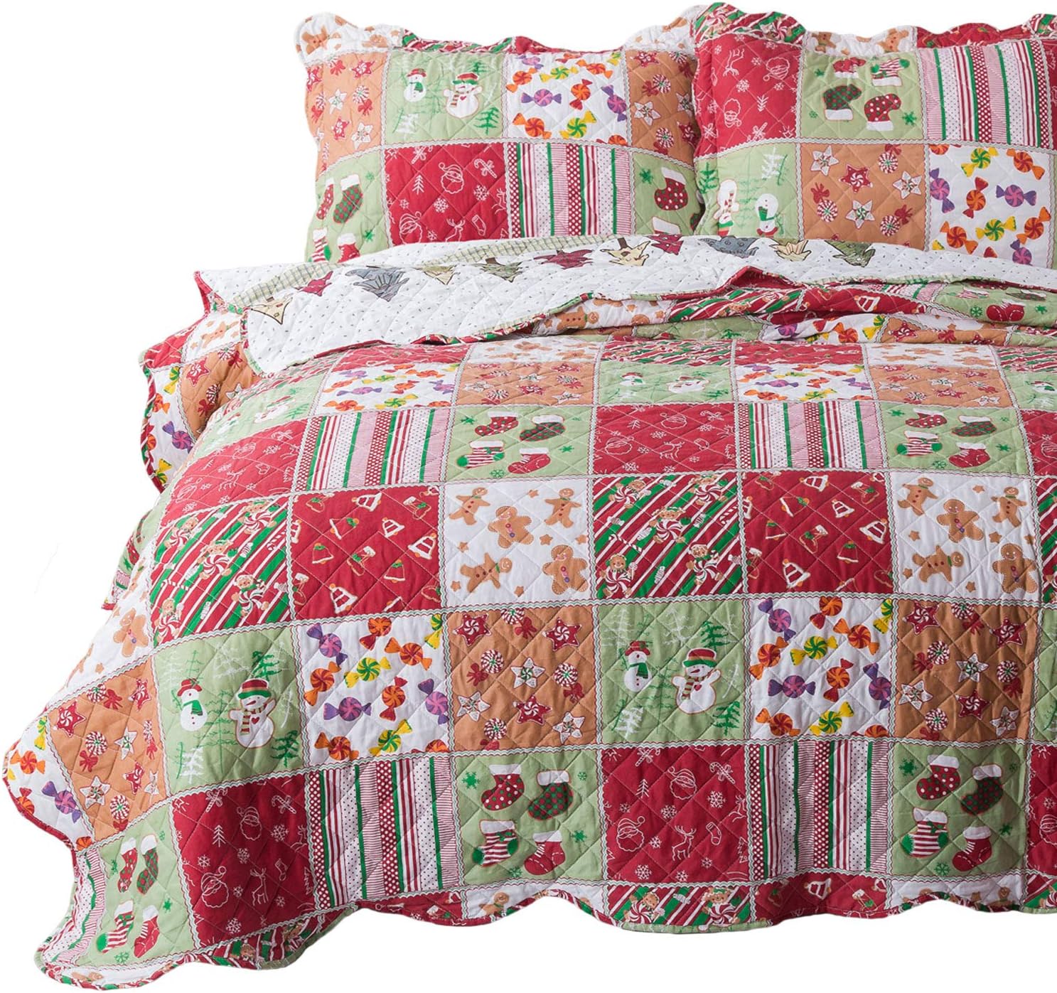 Bedsure Floral Quilt Set Queen - Reversible Blue & White Quilt Bedding Set, Daisy Design Bedspread, 3 Pieces Microfiber Lightweight Coverlet with 2 Pillow Shams for All Seasons (90"x96") - Grand Goldman