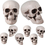 Boao 8 Pieces Halloween Skulls Realistic Looking Skulls Human Skeleton Head Skull for Halloween Bar Home Table Decoration (1.8 x 1.8 x 2.4 Inches) - Grand Goldman