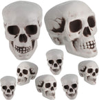 Boao 8 Pieces Halloween Skulls Realistic Looking Skulls Human Skeleton Head Skull for Halloween Bar Home Table Decoration (1.8 x 1.8 x 2.4 Inches) - Grand Goldman