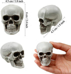 Boao 8 Pieces Halloween Skulls Realistic Looking Skulls Human Skeleton Head Skull for Halloween Bar Home Table Decoration (1.8 x 1.8 x 2.4 Inches) - Grand Goldman