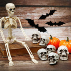 Boao 8 Pieces Halloween Skulls Realistic Looking Skulls Human Skeleton Head Skull for Halloween Bar Home Table Decoration (1.8 x 1.8 x 2.4 Inches) - Grand Goldman