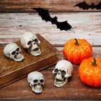 Boao 8 Pieces Halloween Skulls Realistic Looking Skulls Human Skeleton Head Skull for Halloween Bar Home Table Decoration (1.8 x 1.8 x 2.4 Inches) - Grand Goldman