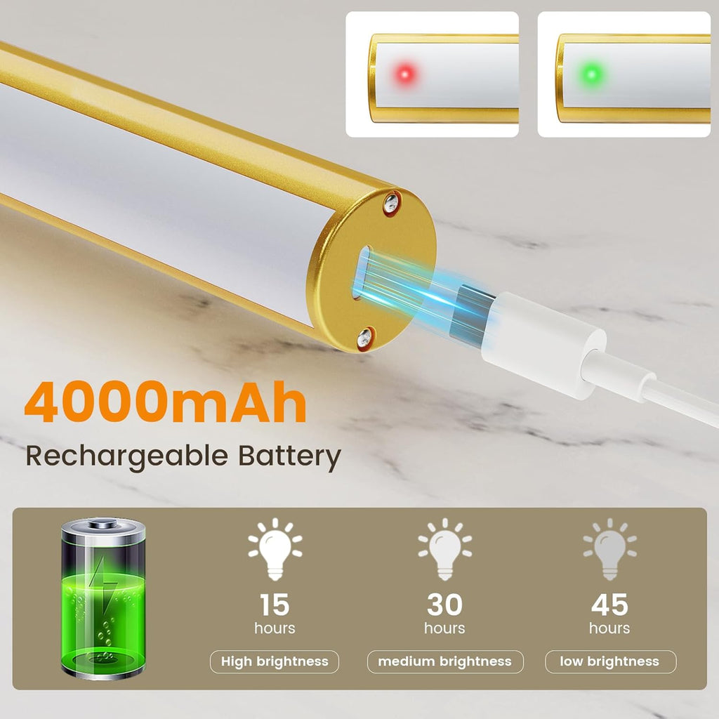 Bridika Picture Light Battery Operated, Picture Light for Wall with Remote, 3 Color Modes and Dimmable Classic Art Lights for Paintings, Gallery, Dartboard, Bedroom, Bathroom with Timer Gold 1 - Grand Goldman