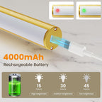 Bridika Picture Light Battery Operated, Picture Light for Wall with Remote, 3 Color Modes and Dimmable Classic Art Lights for Paintings, Gallery, Dartboard, Bedroom, Bathroom with Timer Gold 1 - Grand Goldman