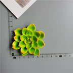 Buy 5 Get 1 3D Cute Fridge Magnets Kawaii Rose Sunflower Thank You Miss You Flower Bless You Simulate Succulent Plants Stickers - Grand Goldman