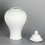 Ceramic General Jar Porcelain Ginger Jar Stripe Sealed Tea Storage Tank with Lid Ceramic Handicraft Ornaments Home Decoration - Grand Goldman