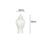 Ceramic General Jar Porcelain Ginger Jar Stripe Sealed Tea Storage Tank with Lid Ceramic Handicraft Ornaments Home Decoration - Grand Goldman