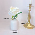 Ceramic Vase Decoration Accessories Desktop Flower Arrangement Container Hydroponics Flower Vase - Grand Goldman