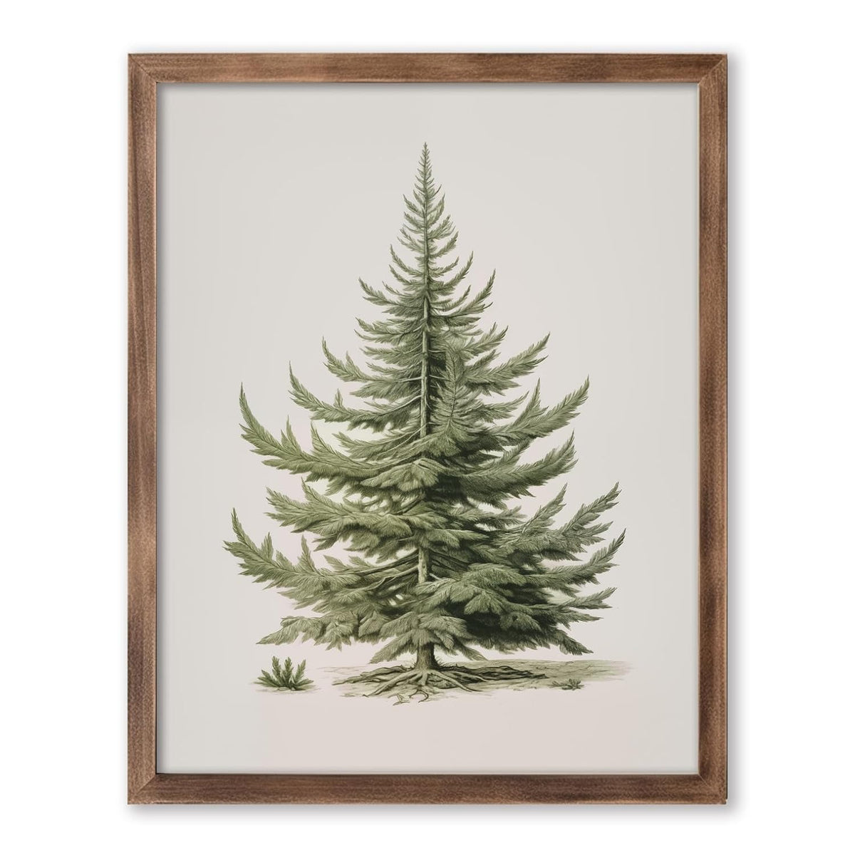 Christmas Tree Art Print, Vintage Fir Botanical Sketch, Christmas Tree Painting Print, Pine Tree Antique Print, Christmas Tree Wall Art - Grand Goldman