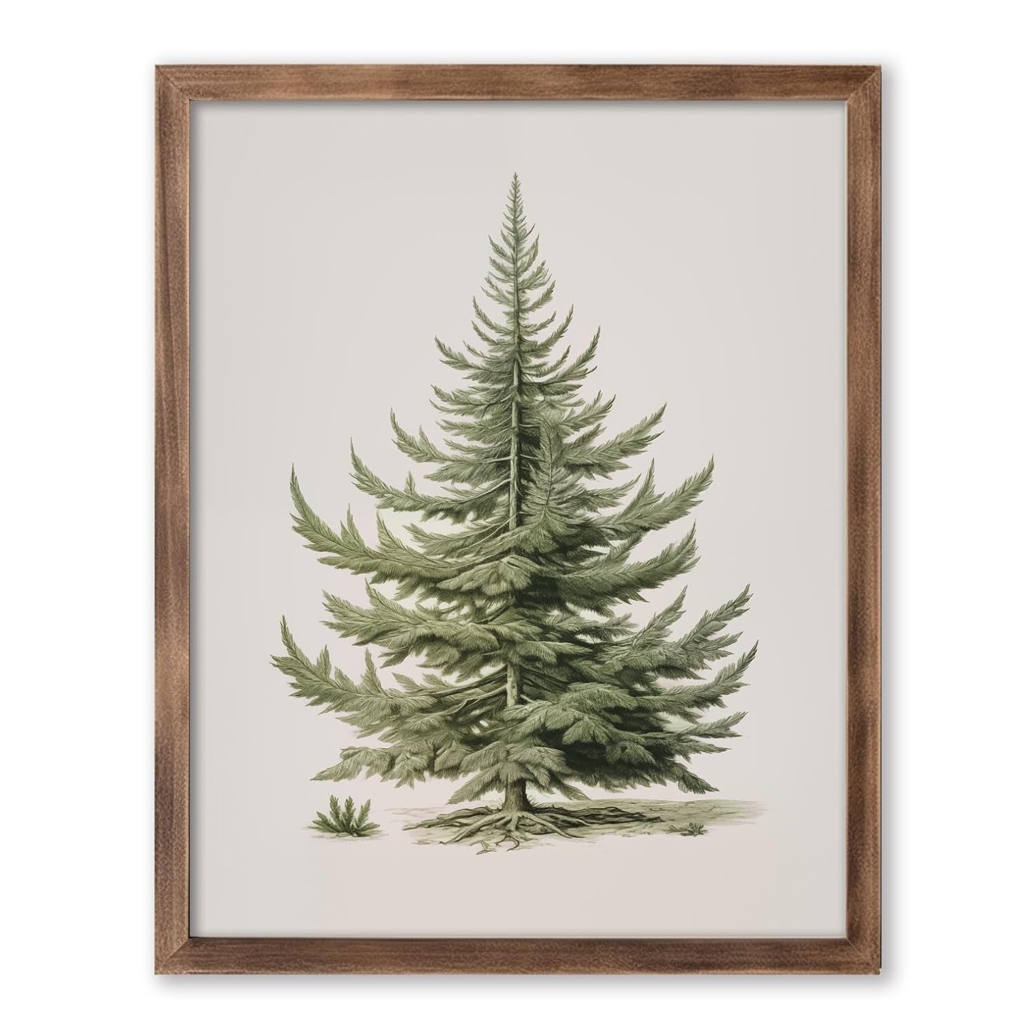 Christmas Tree Art Print, Vintage Fir Botanical Sketch, Christmas Tree Painting Print, Pine Tree Antique Print, Christmas Tree Wall Art - Grand Goldman