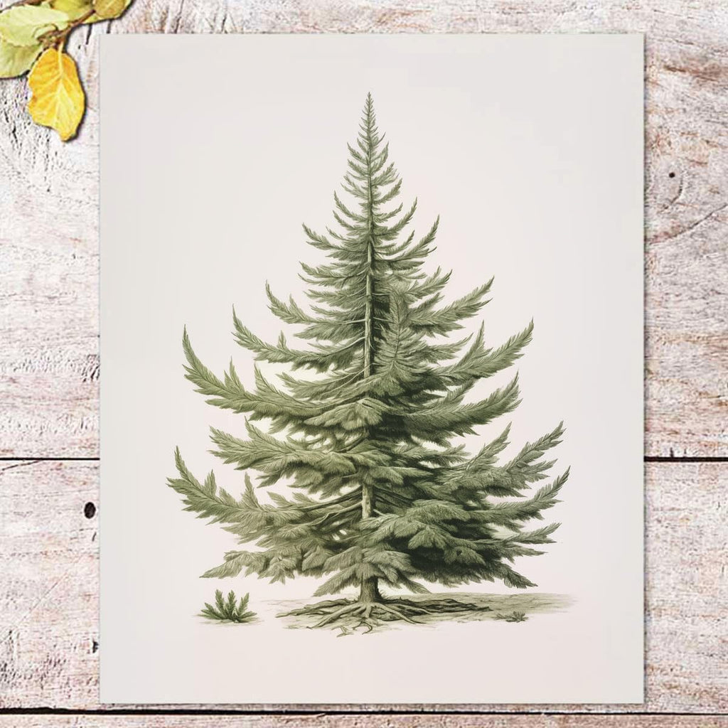 Christmas Tree Art Print, Vintage Fir Botanical Sketch, Christmas Tree Painting Print, Pine Tree Antique Print, Christmas Tree Wall Art - Grand Goldman
