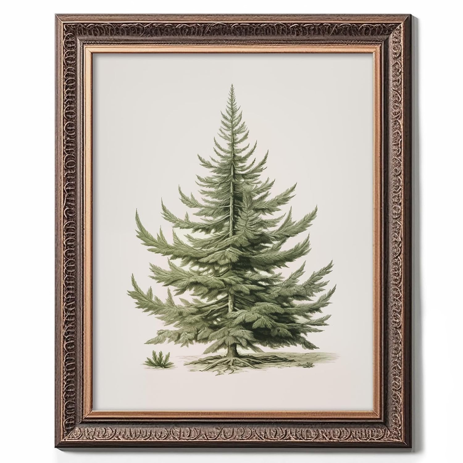 Christmas Tree Art Print, Vintage Fir Botanical Sketch, Christmas Tree Painting Print, Pine Tree Antique Print, Christmas Tree Wall Art - Grand Goldman